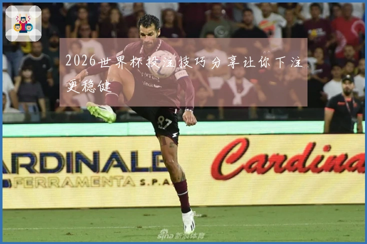 2026世界杯投注技巧分享让你下注更稳健