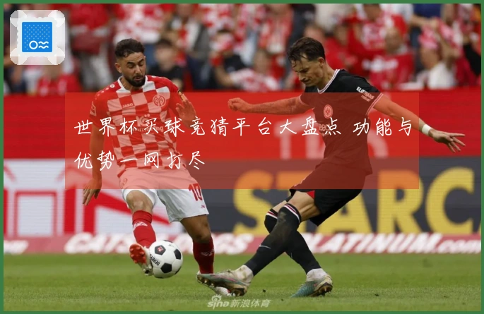 世界杯买球竞猜平台大盘点 功能与优势一网打尽